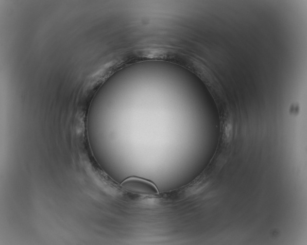 X0000111200620200907151415