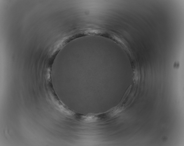 X0000111200621200907151415