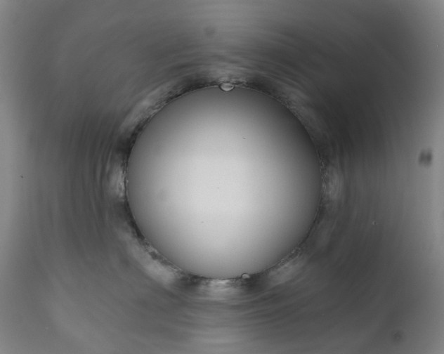 X0000111200622200907151415