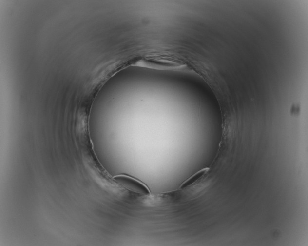 X0000111200623200907151415