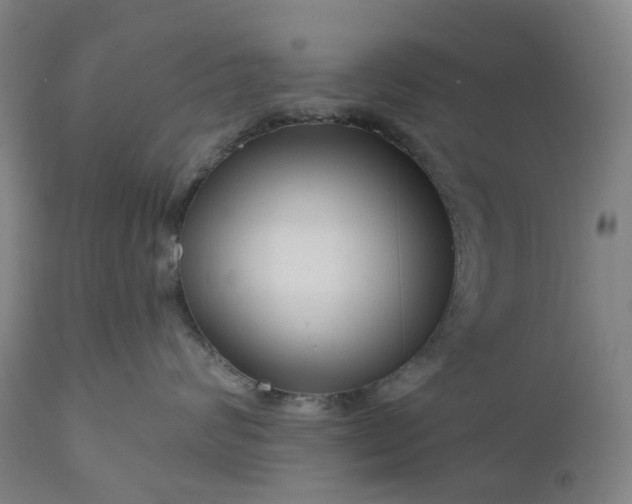 X0000111200624200907151415