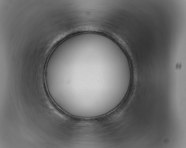 X0000111200625200907151414