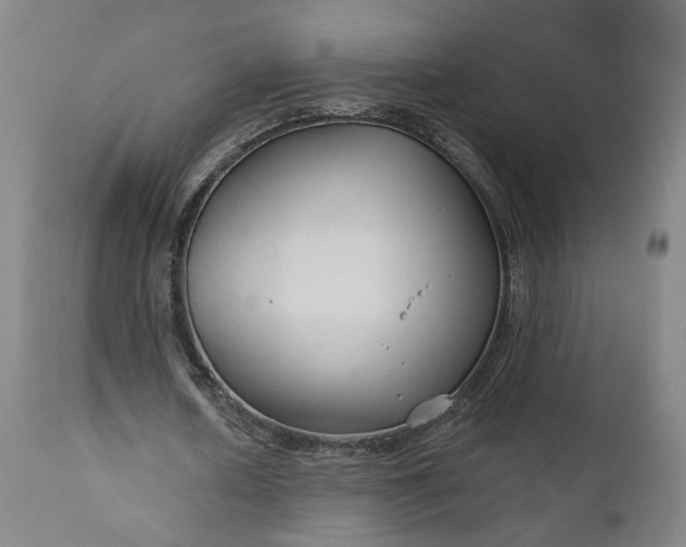 X0000111200626200907151414