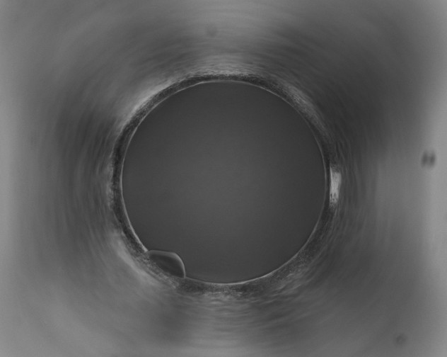 X0000111200627200907151414