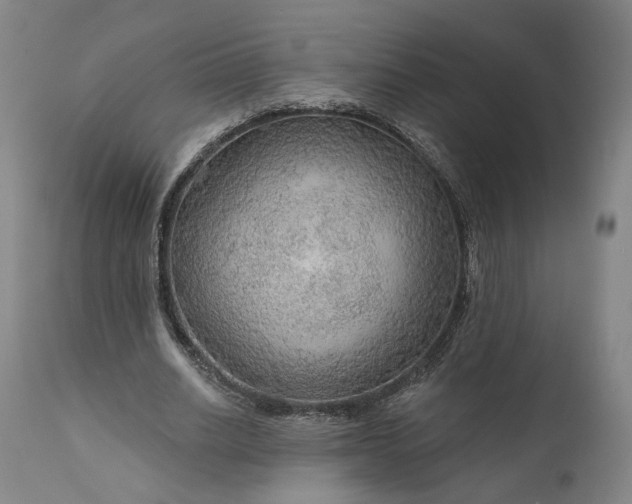 X0000111200630200907151414