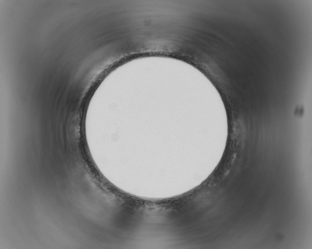 X0000111200632200907151414