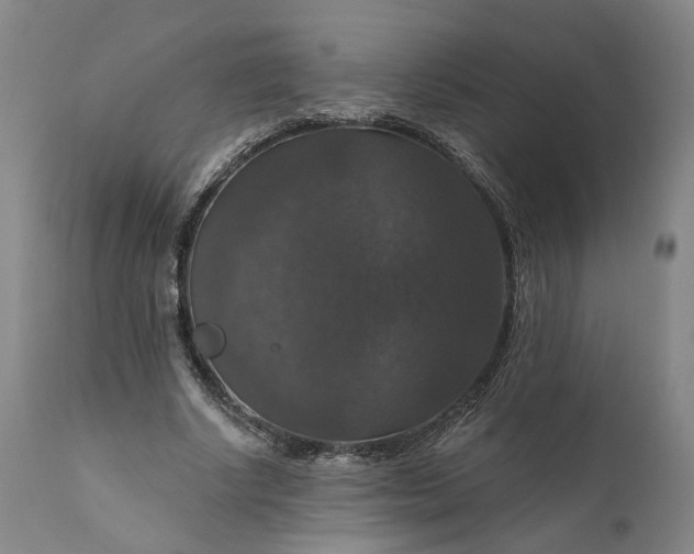 X0000111200634200907151414