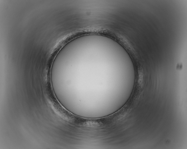 X0000111200636200907151414