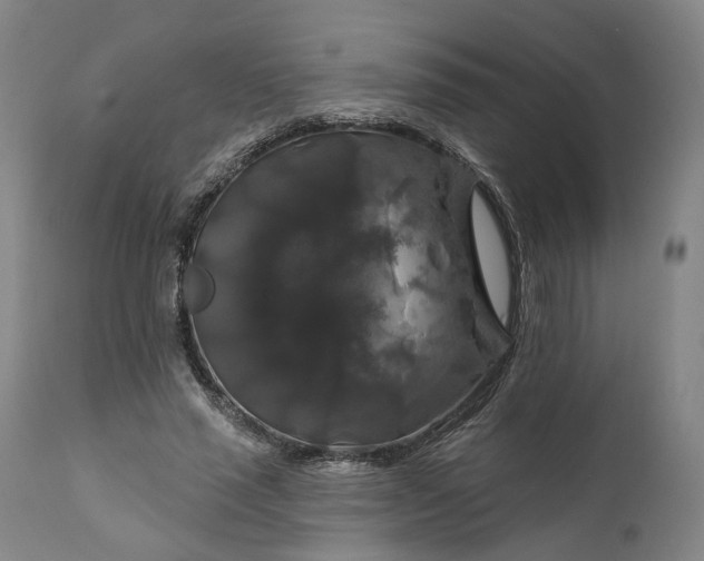 X0000111200637200907151414