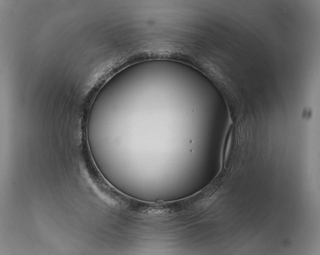 X0000111200638200907151414