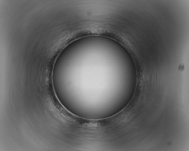 X0000111200639200907151414