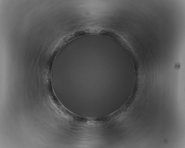 X0000111200641200907151414