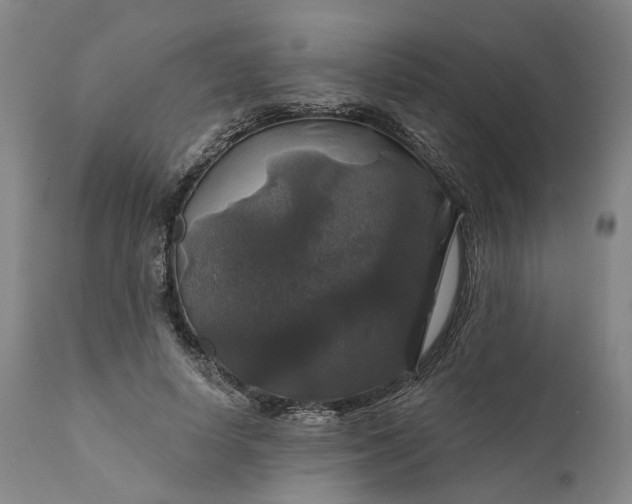 X0000111200642200907151414