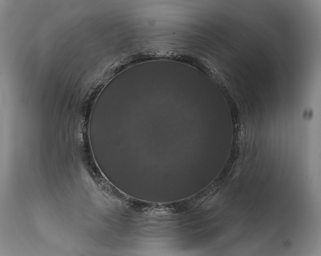 X0000111200643200907151414