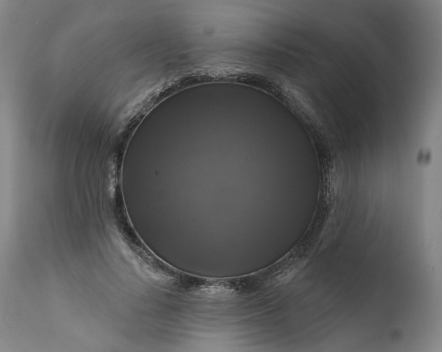 X0000111200644200907151414