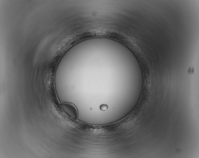 X0000111200645200907151414