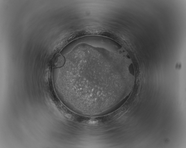 X0000111200647200907151414