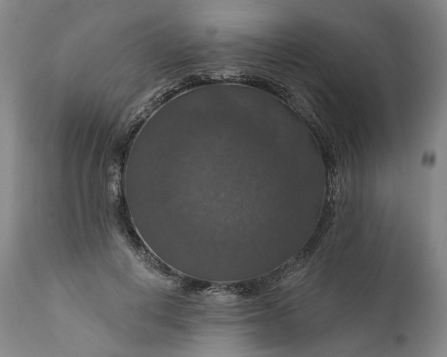 X0000111200648200907151414