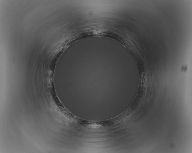 X0000111200650200907151414