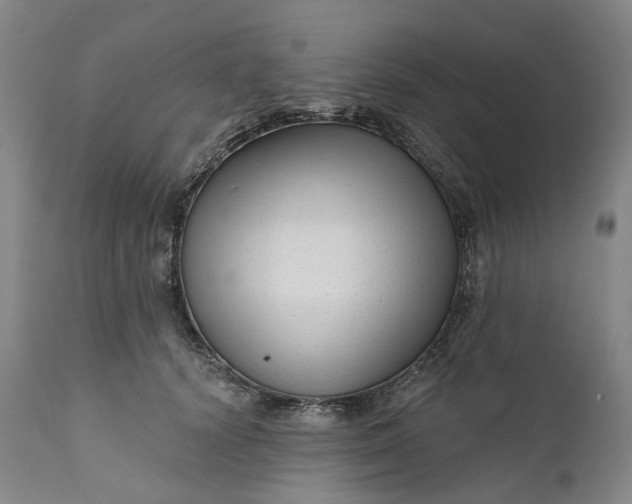 X0000111200656200907151414