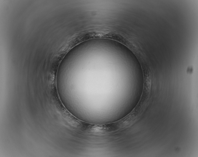 X0000111200657200907151414