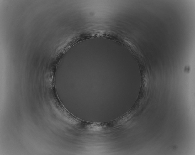 X0000111200661200907151414