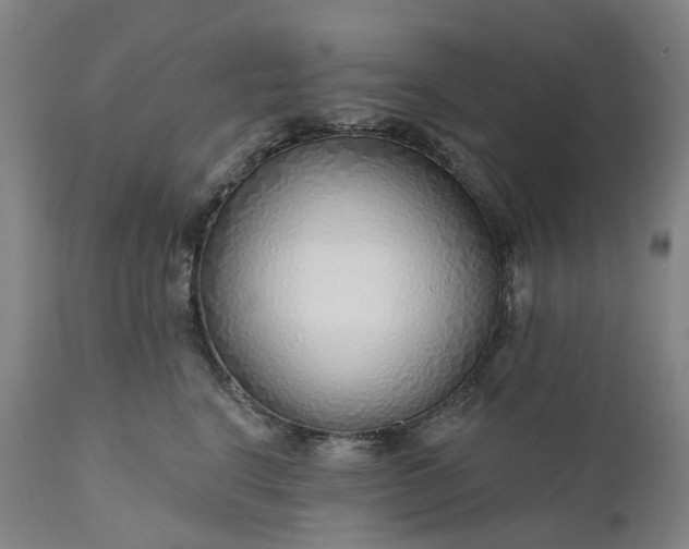 X0000111200664200907151415