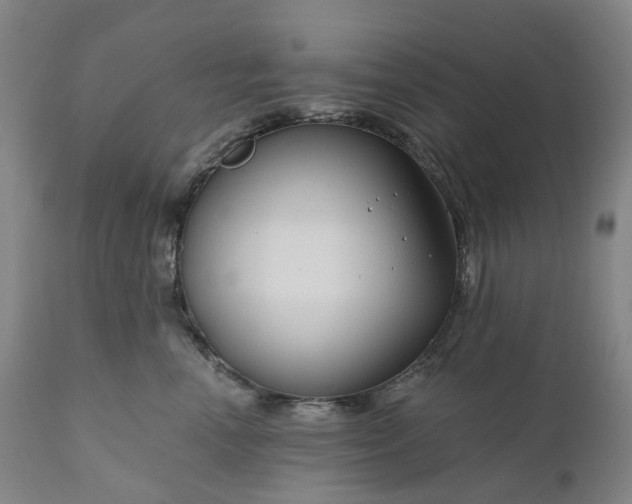 X0000111200666200907151415