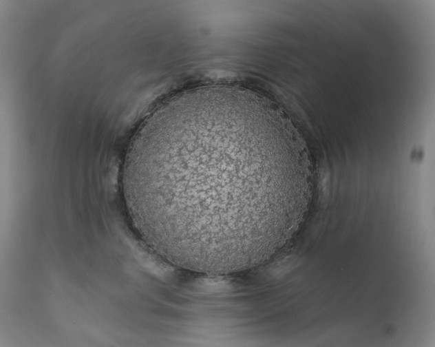 X0000111200668200907151415