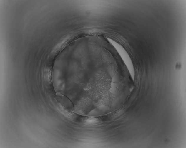 X0000111200669200907151415