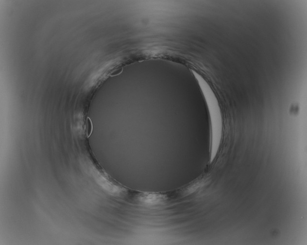 X0000111200670200907151415