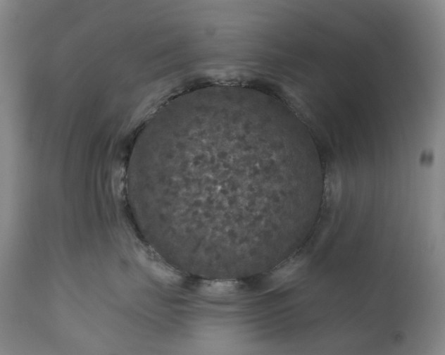 X0000111200671200907151415