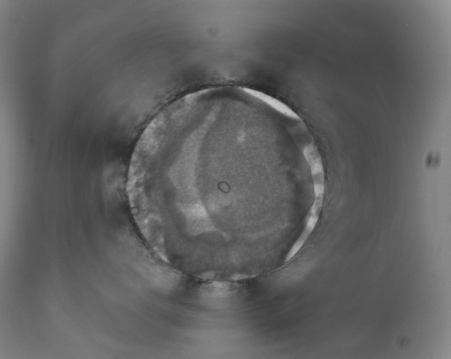 X0000111200672200907151415