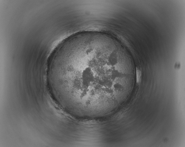 X0000111200675200907151414