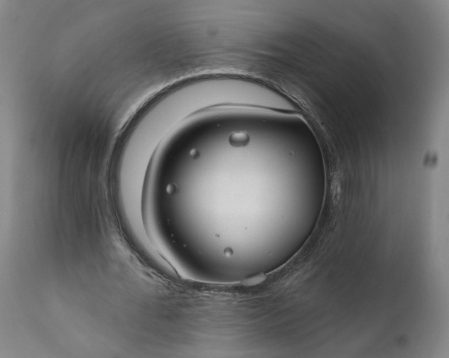 X0000111200676200907151414