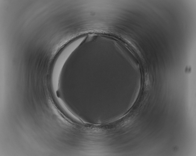 X0000111200677200907151414