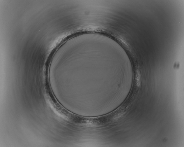 X0000111200678200907151414