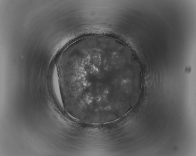 X0000111200679200907151414