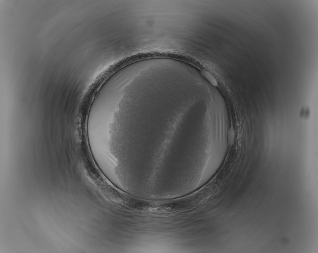 X0000111200680200907151414