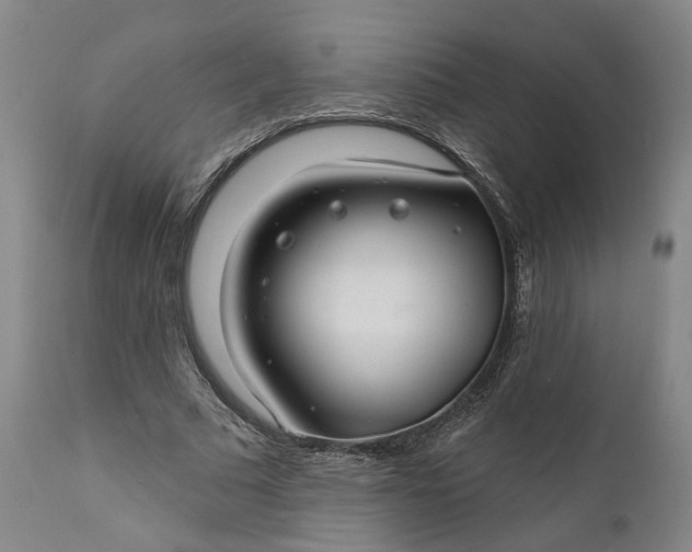 X0000111200681200907151414