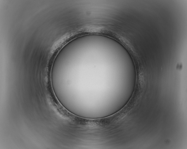 X0000111200682200907151414