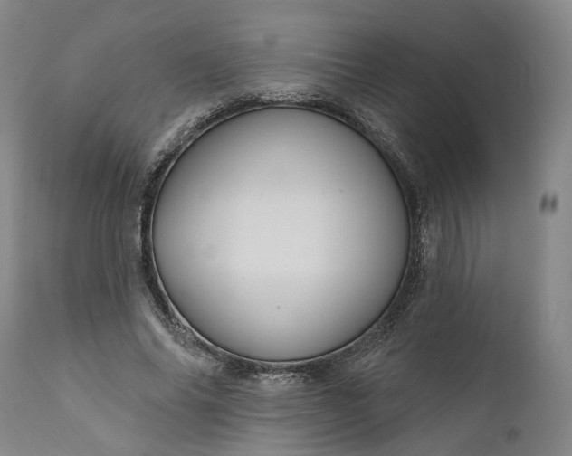 X0000111200686200907151414