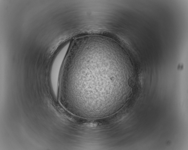 X0000111200687200907151414