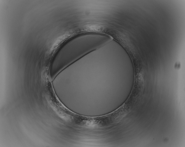 X0000111200688200907151414