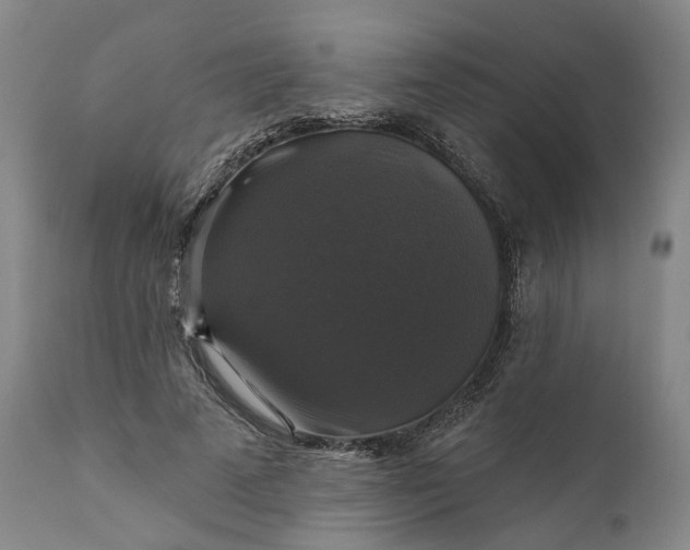 X0000111200689200907151414