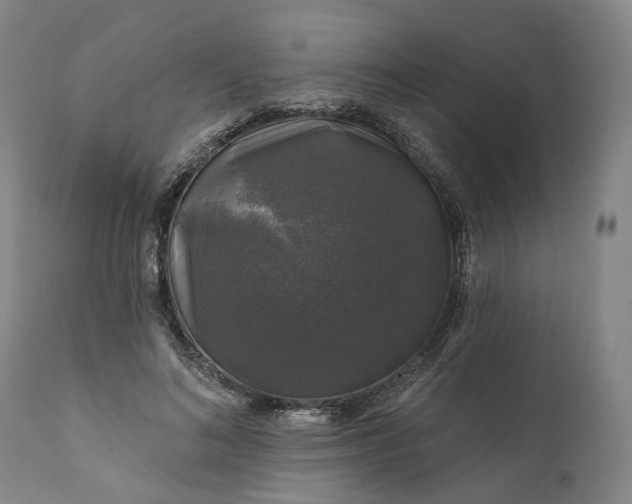 X0000111200692200907151414