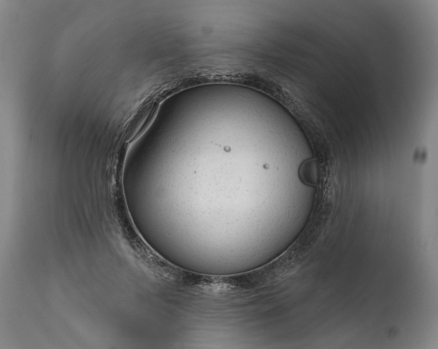 X0000111200695200907151414