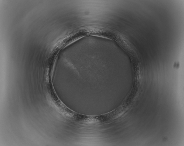 X0000111200696200907151414