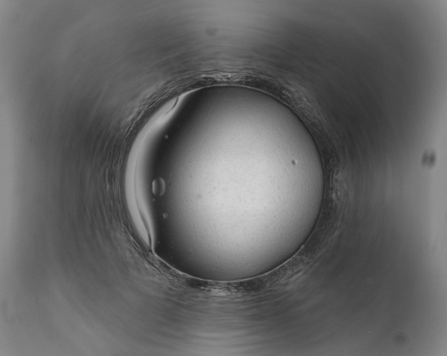 X0000111200697200907151414