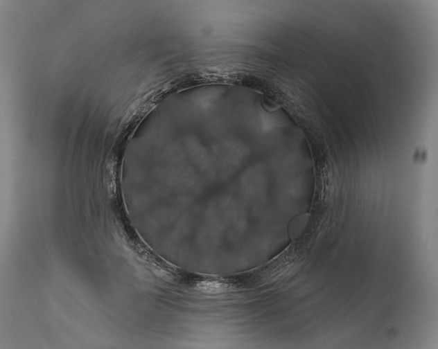 X0000111200699200907151414